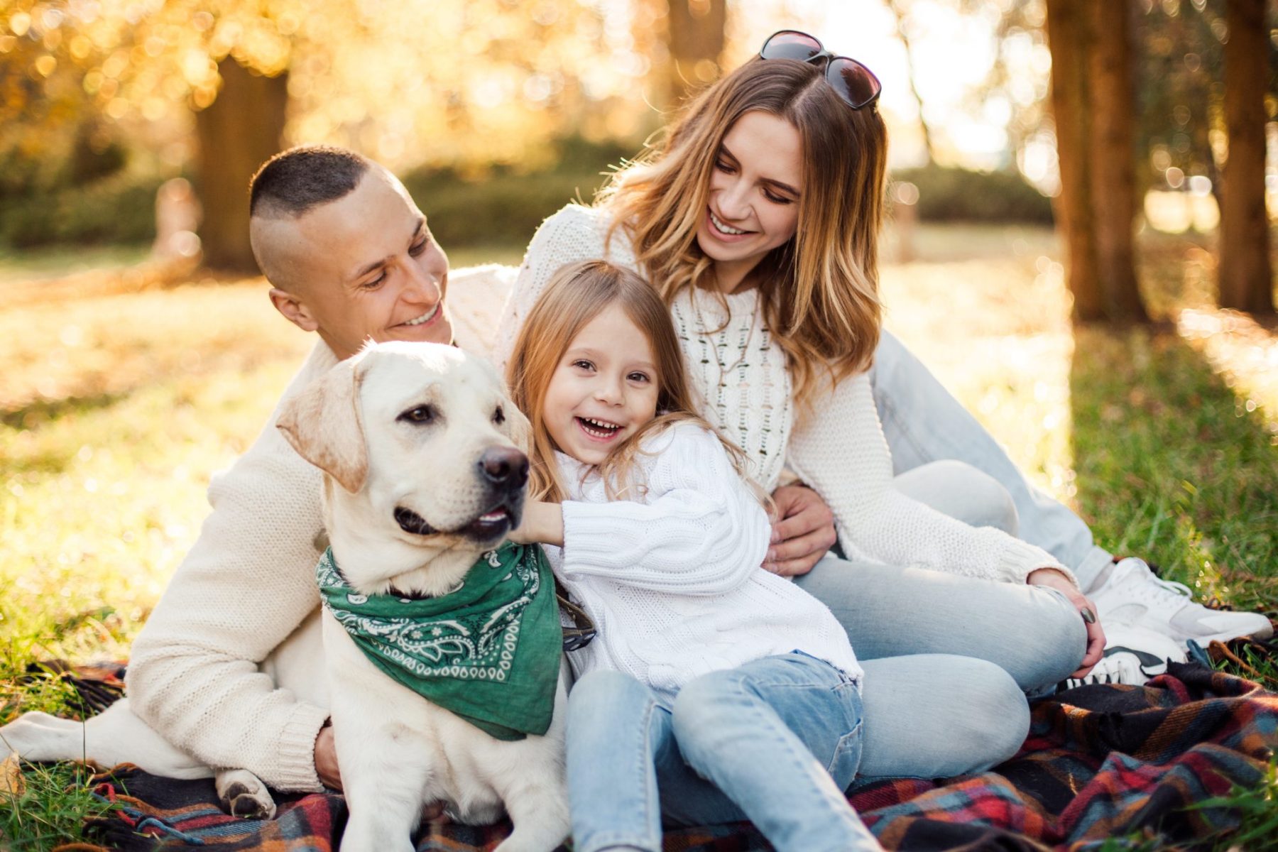 Who Keeps the Family Pets After a Divorce?