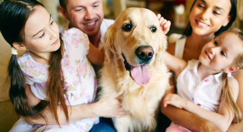 How to Obtain Custody of Your Family Dog